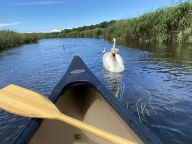 【カナディアンカヌー】基本や魅力を紹介
